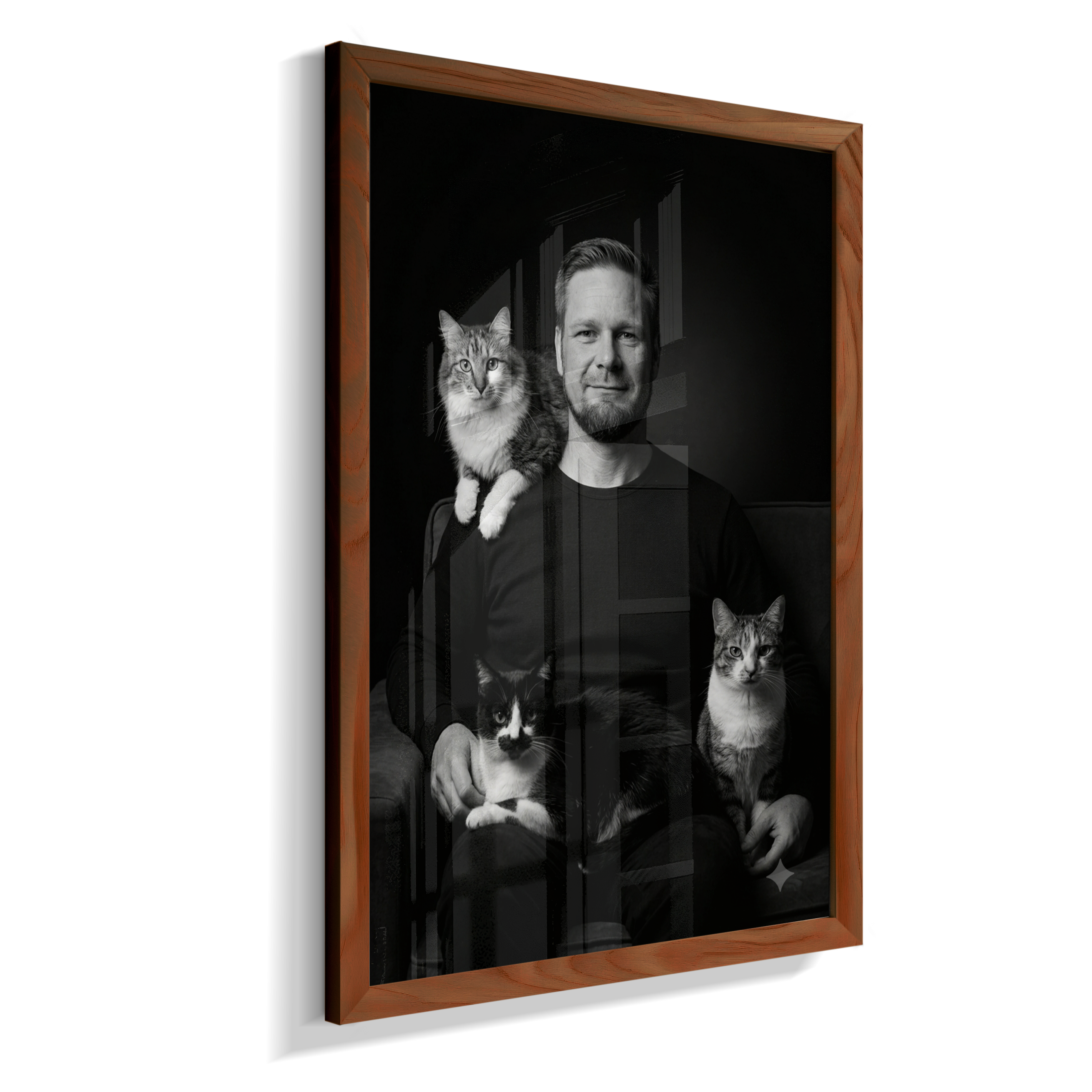 Memórias em Preto e Branco - Homem e Gatos