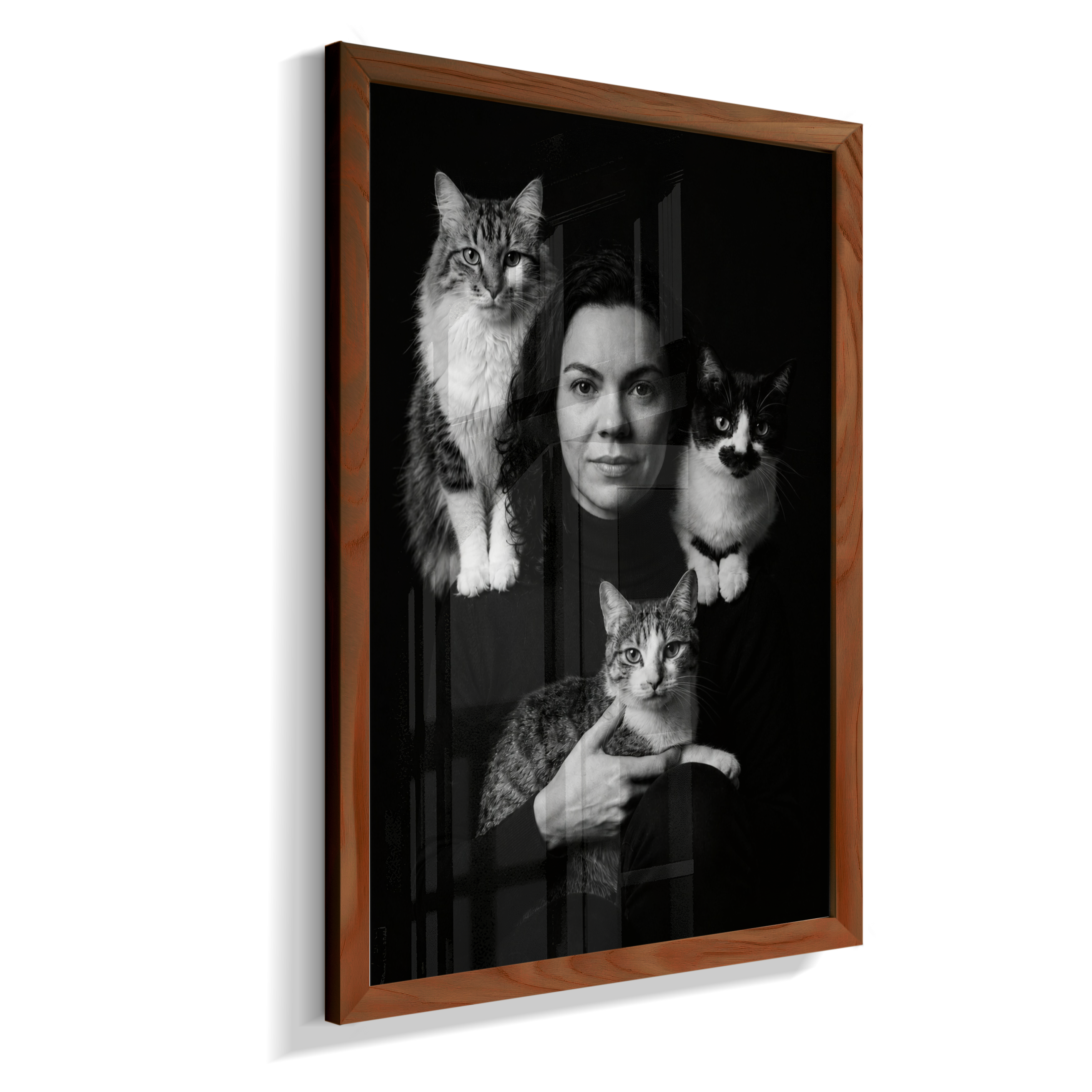 Memórias em Preto e Branco - Mulher e Gatos
