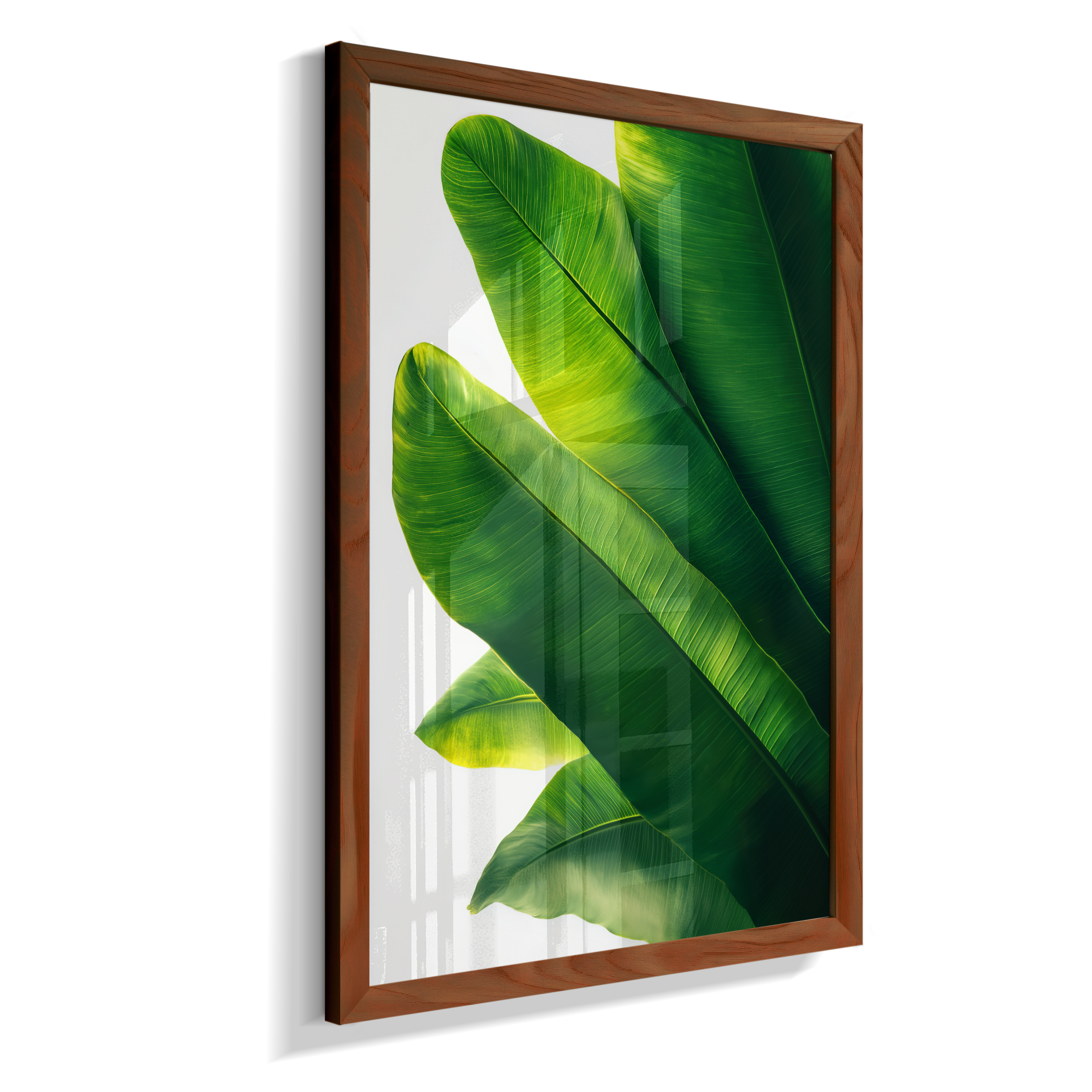 Bananeira 3