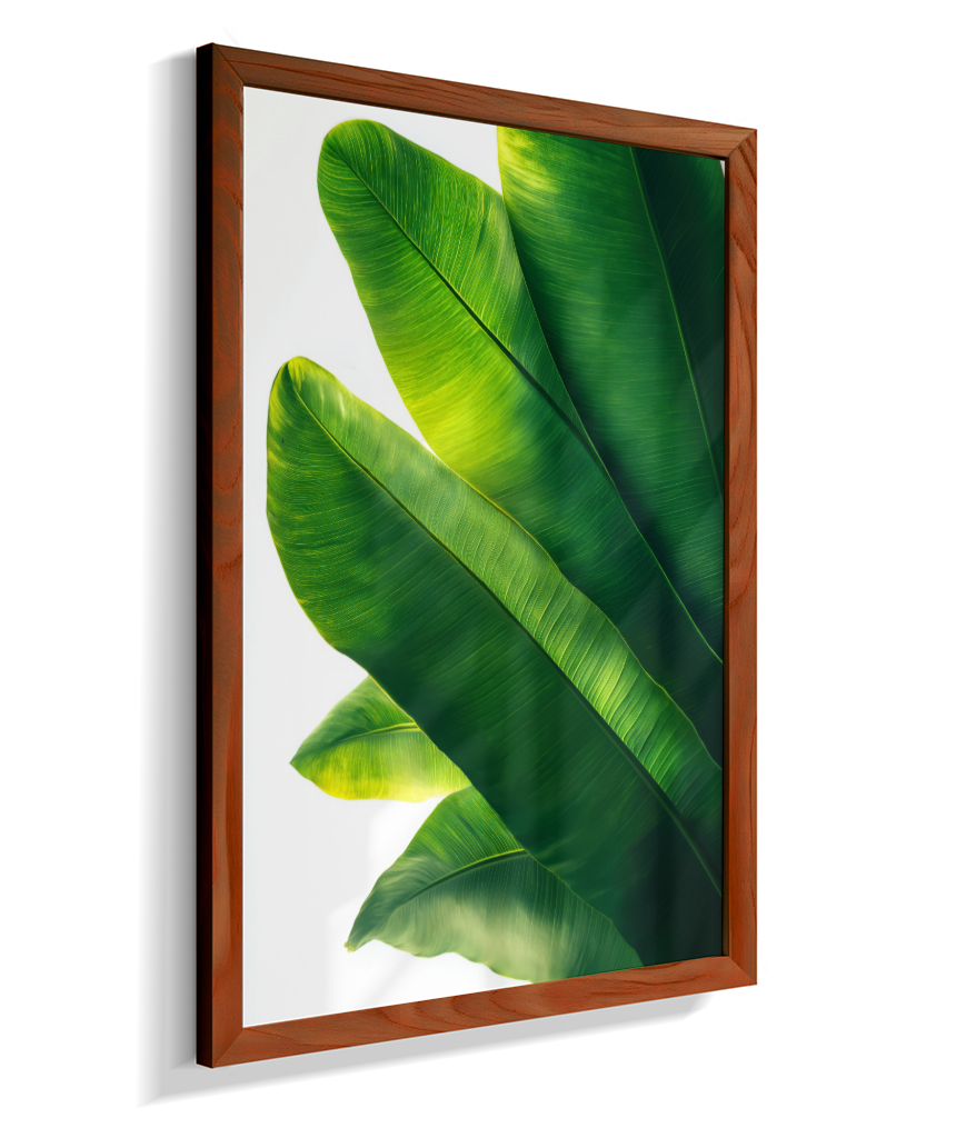 Bananeira 3