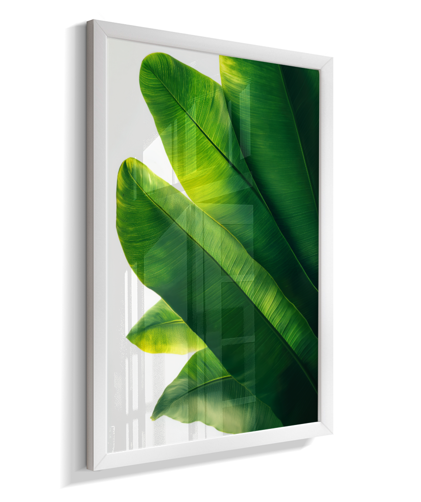 Bananeira 3