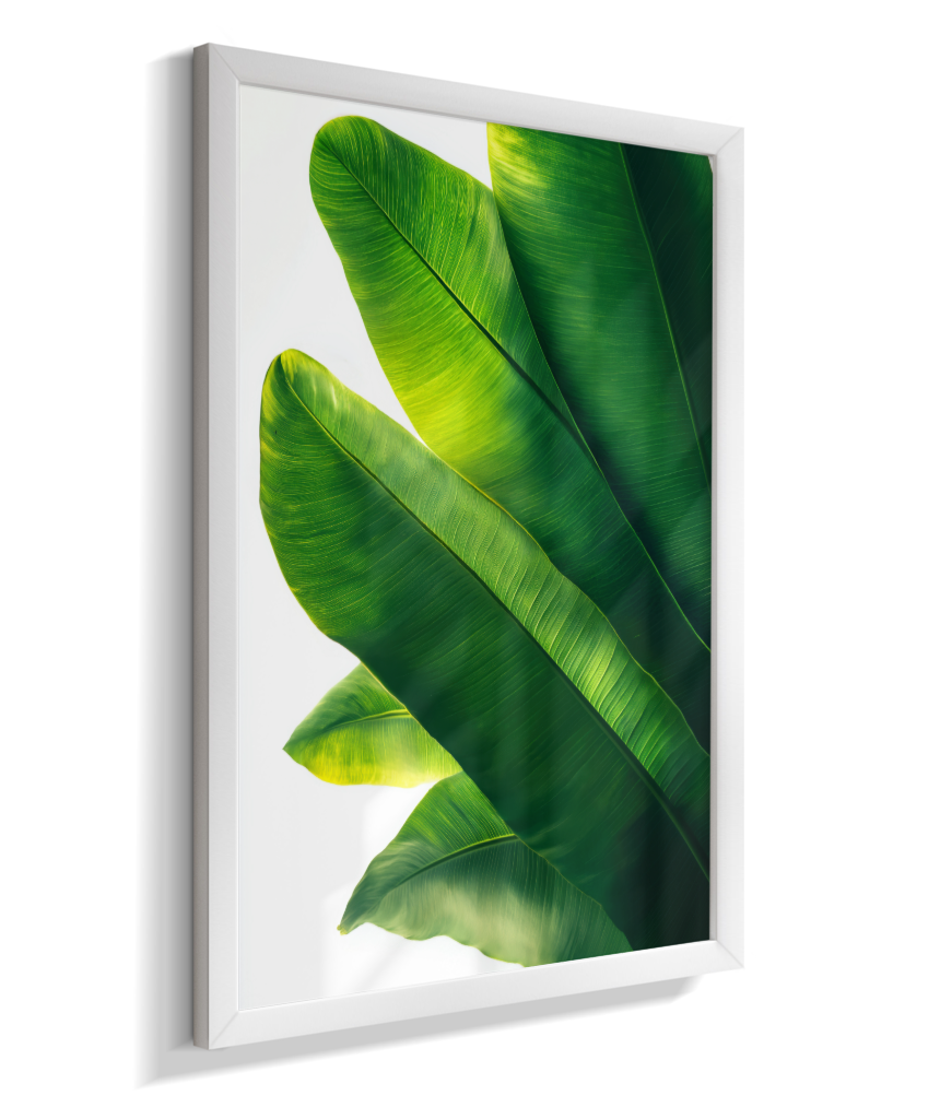 Bananeira 3