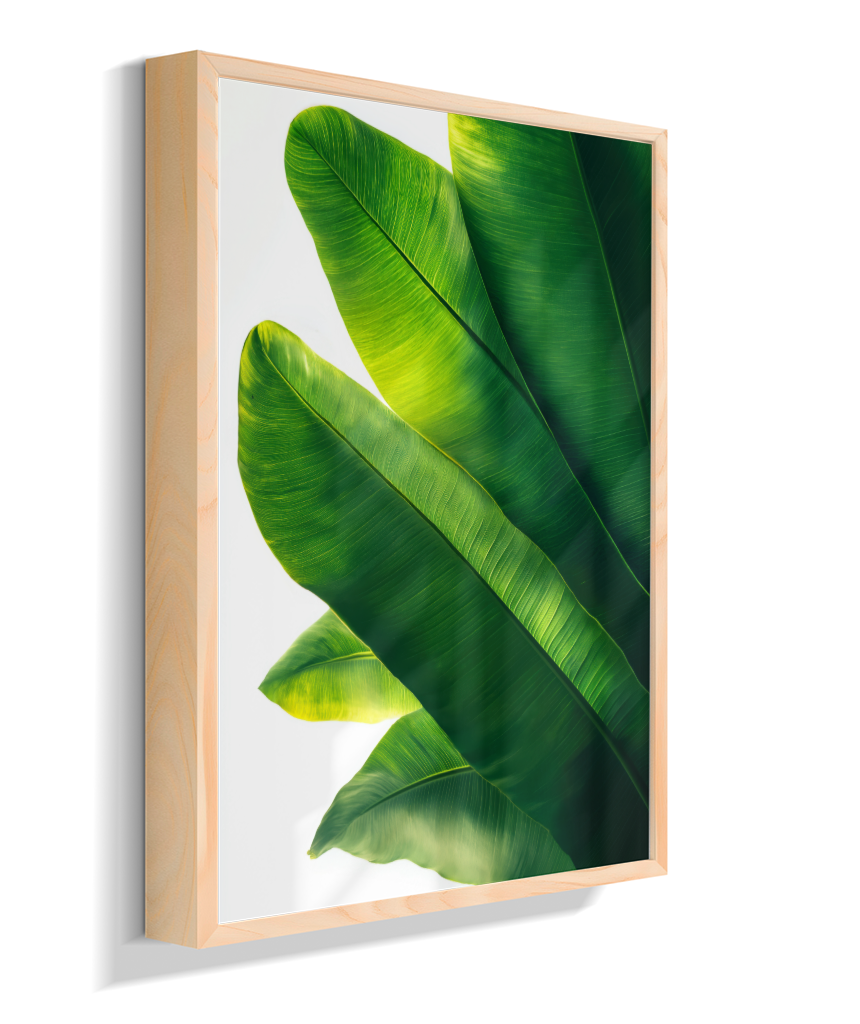 Bananeira 3