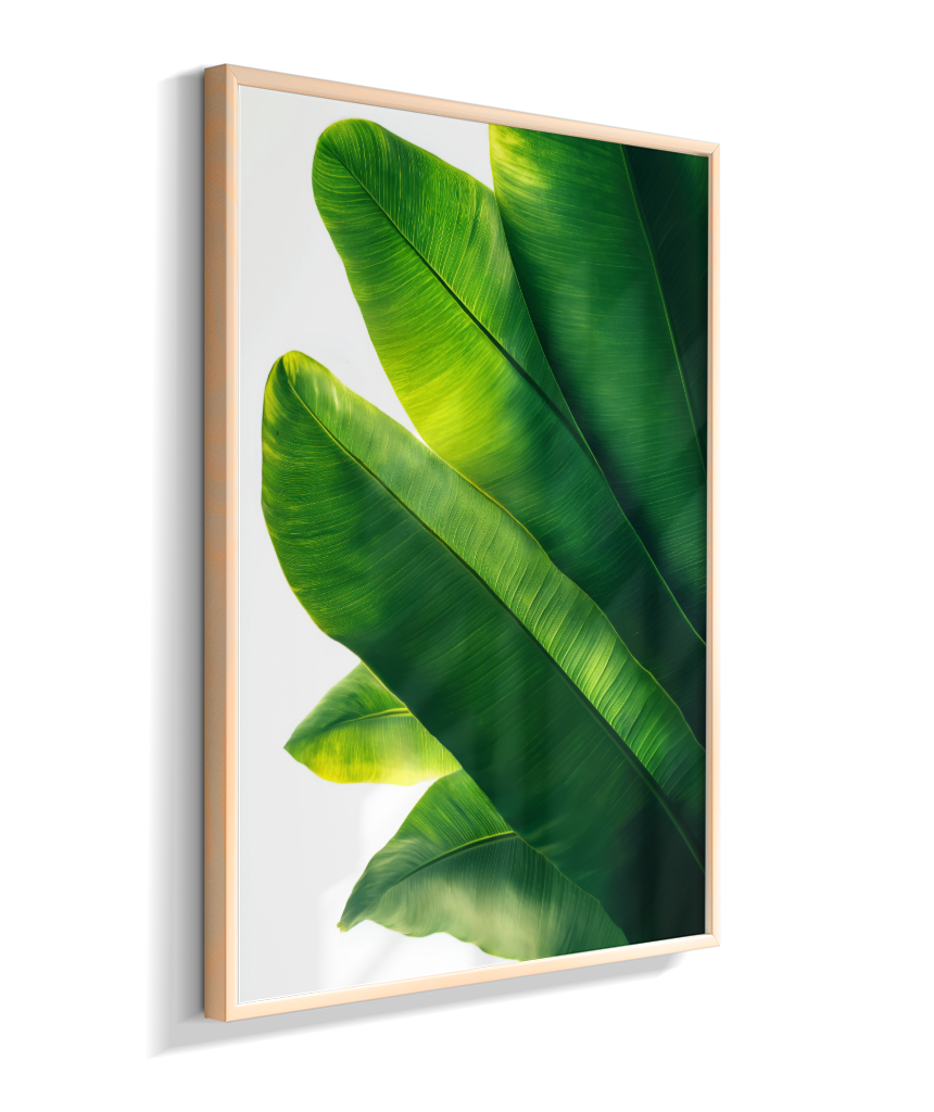Bananeira 3