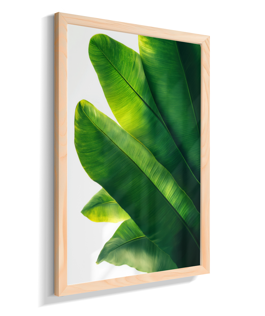Bananeira 3
