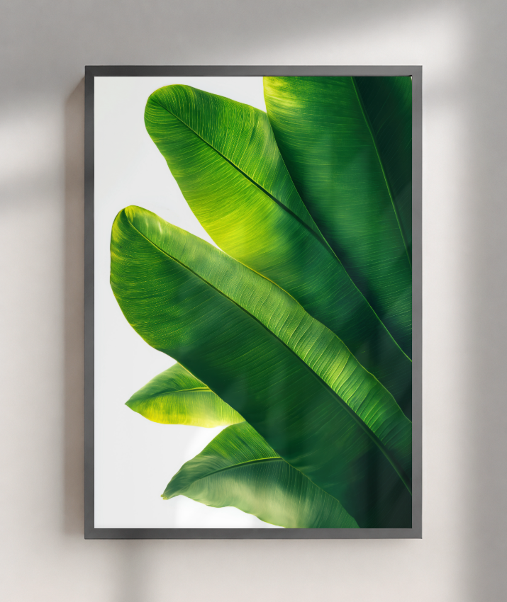 Bananeira 3