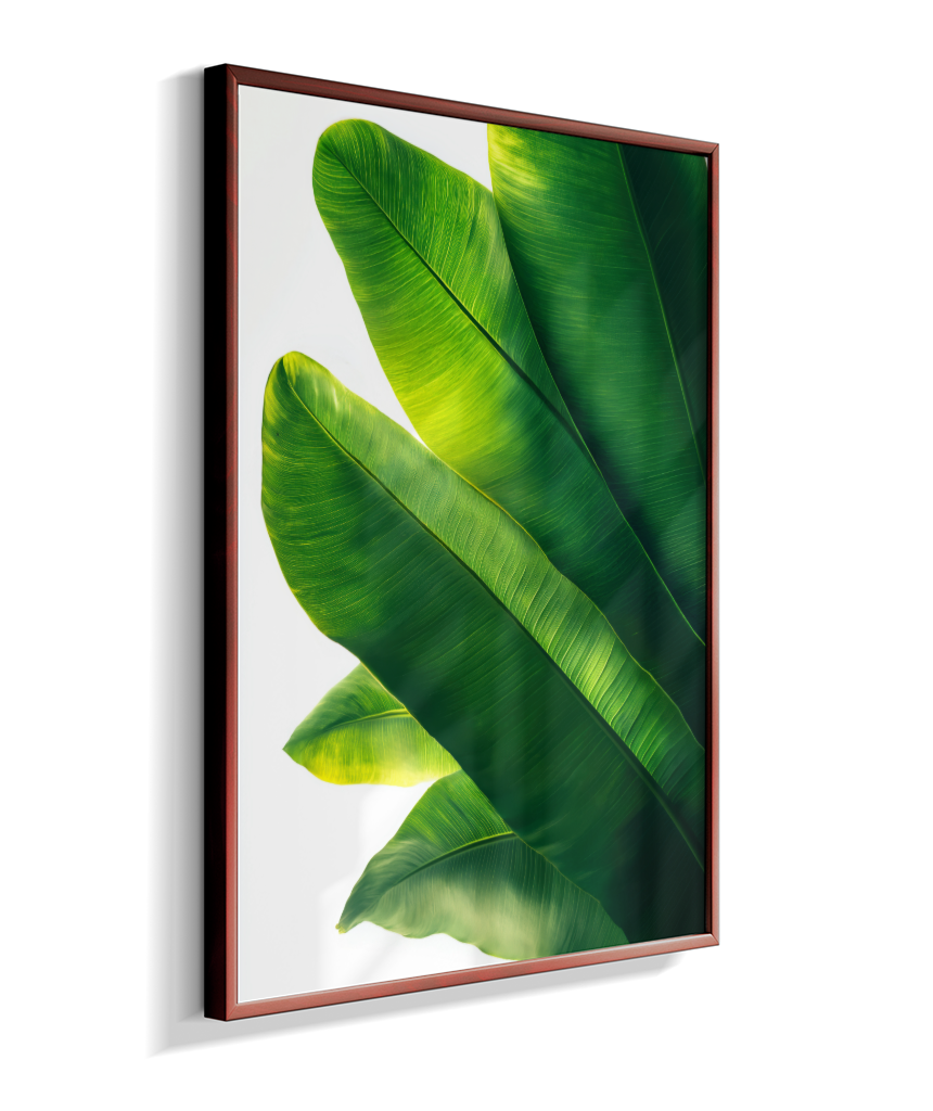 Bananeira 3