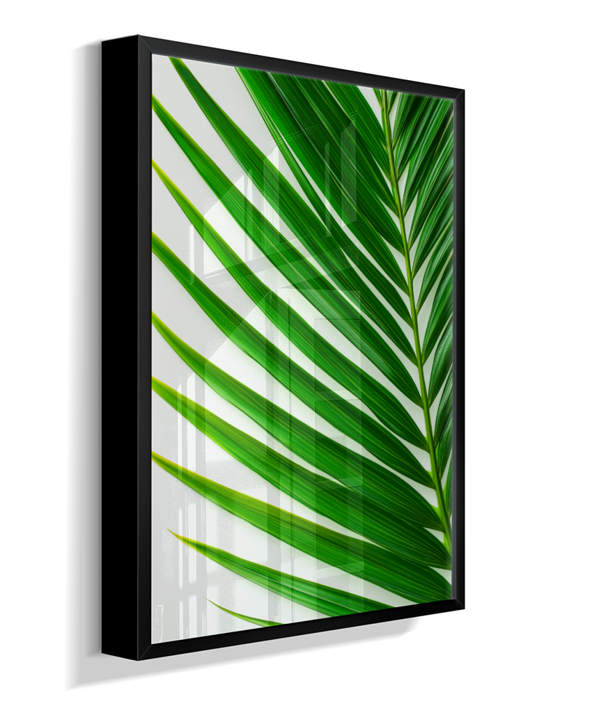 Palmeira 4