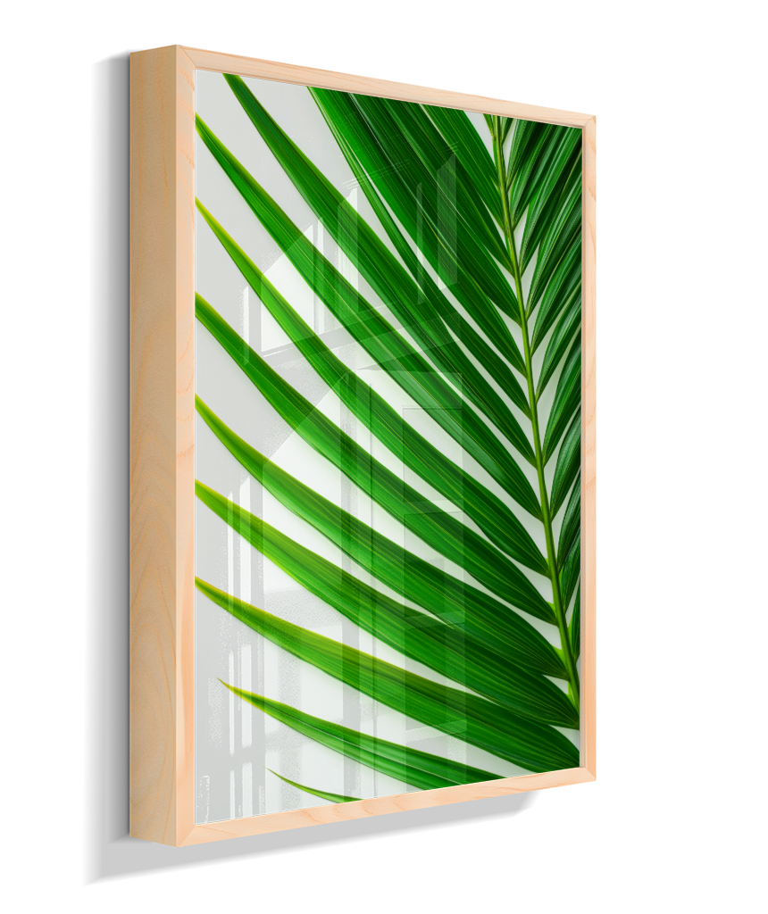 Palmeira 4