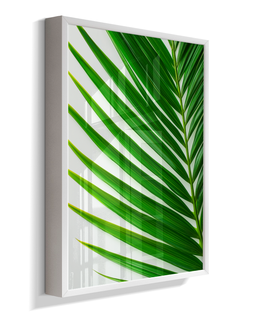 Palmeira 4