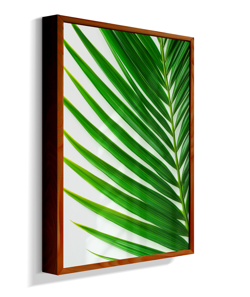 Palmeira 4