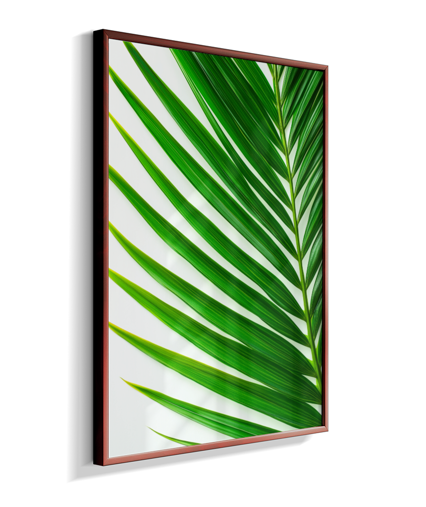 Palmeira 4