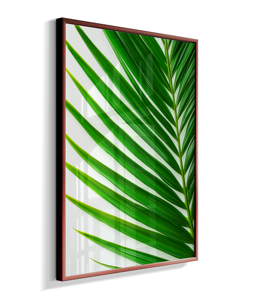 Palmeira 4