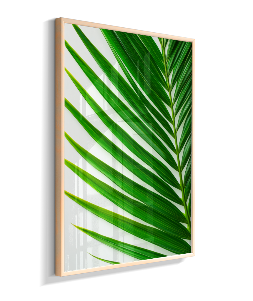 Palmeira 4