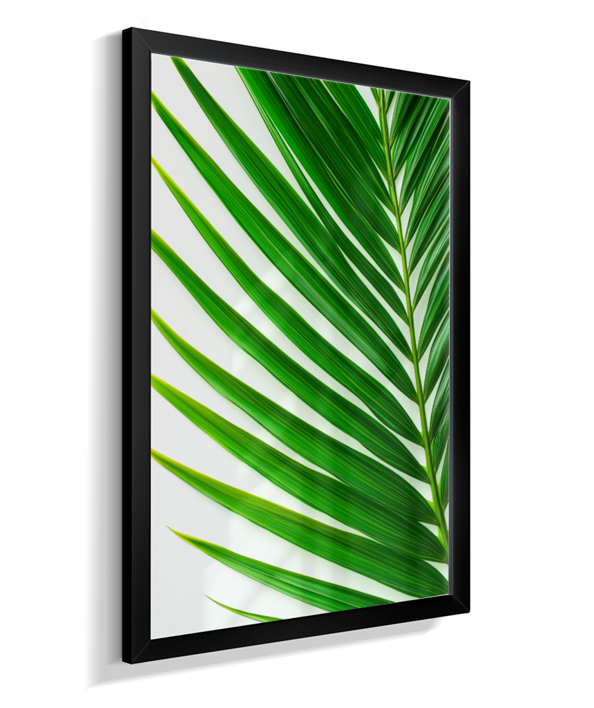 Palmeira 4