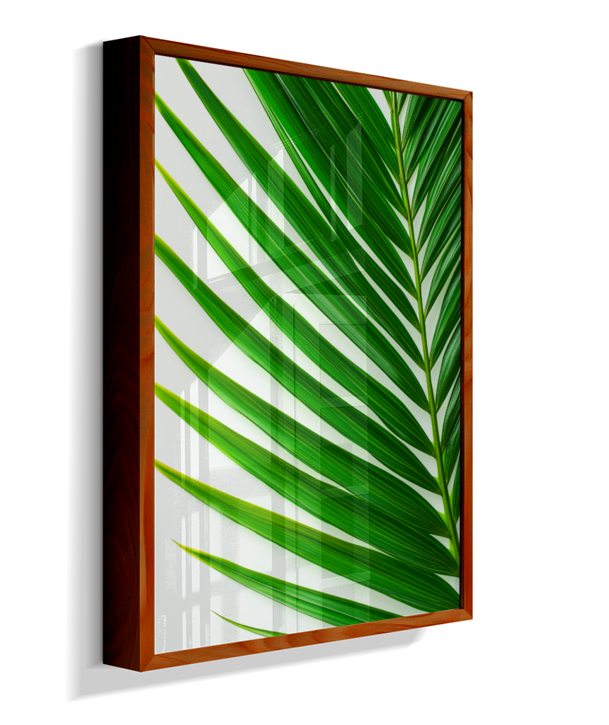 Palmeira 4
