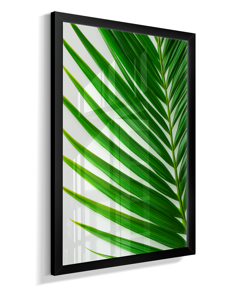 Palmeira 4