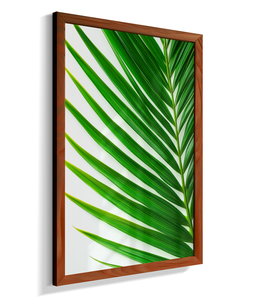 Palmeira 4
