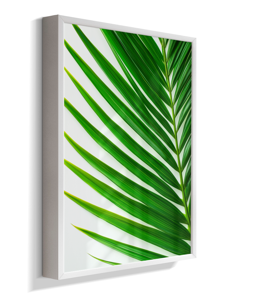 Palmeira 4
