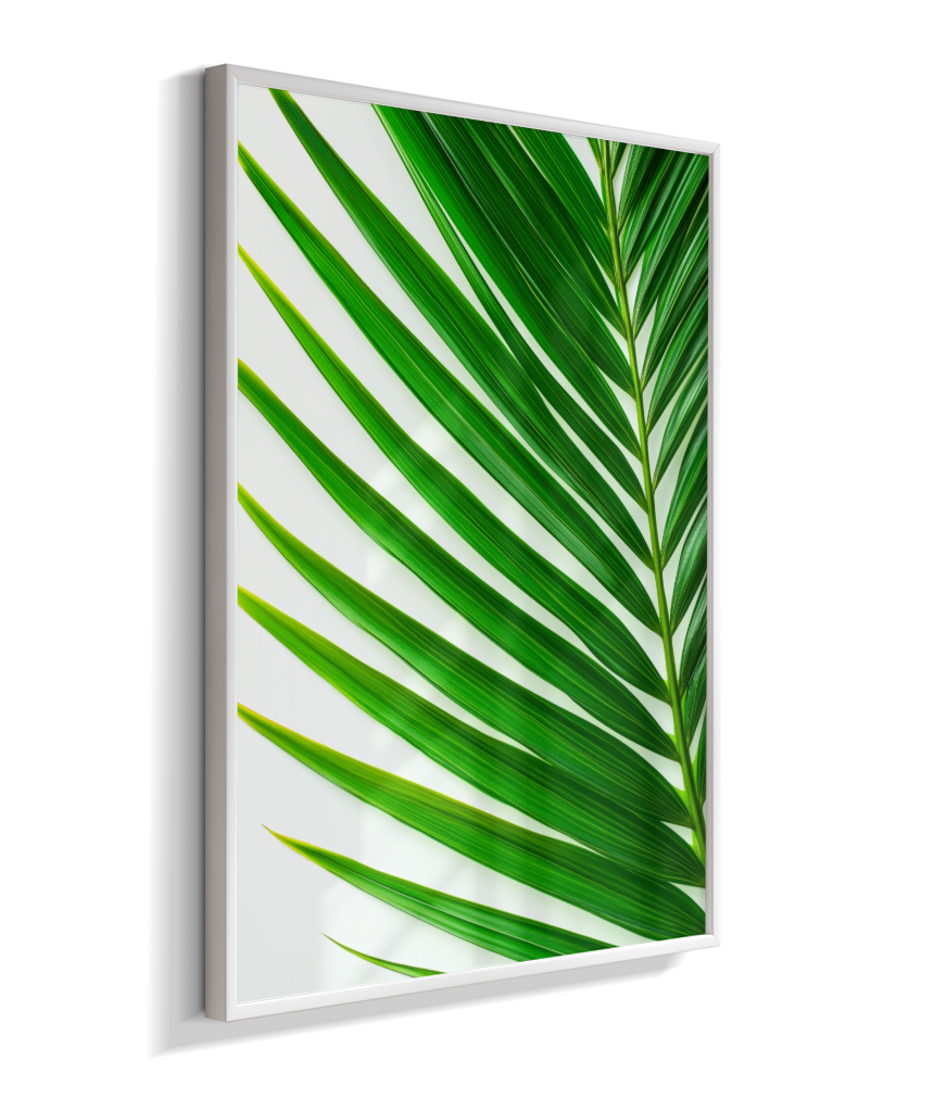 Palmeira 4