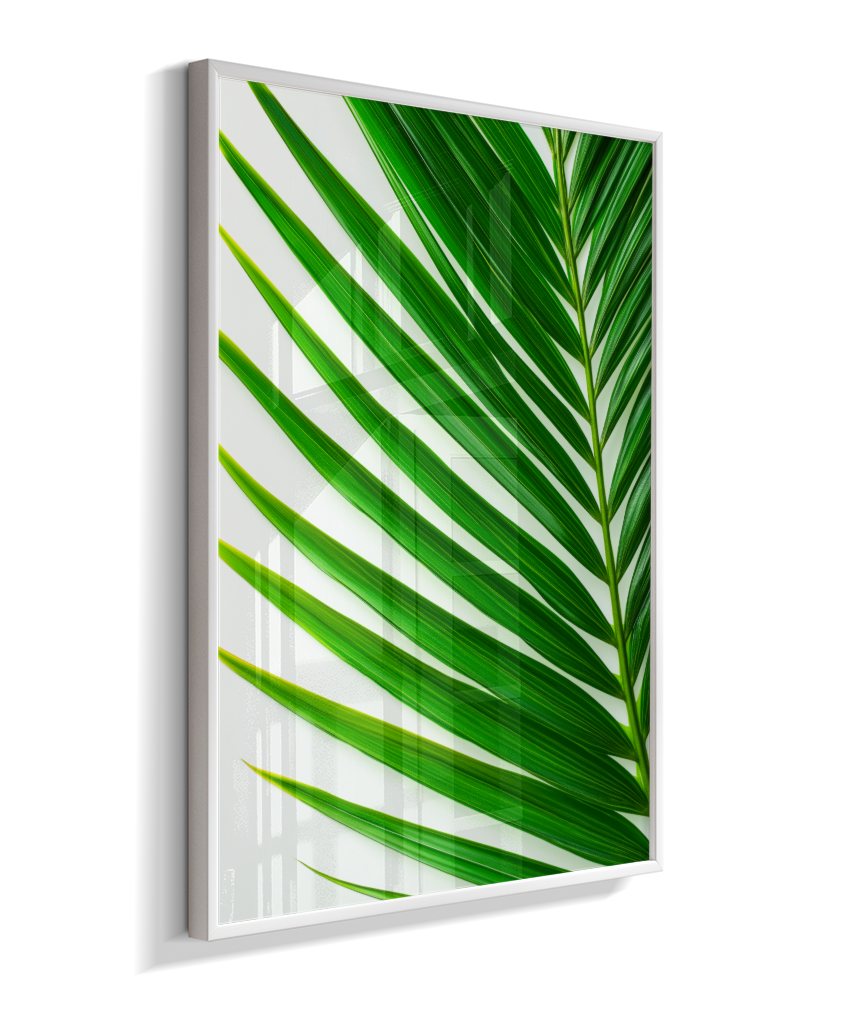 Palmeira 4