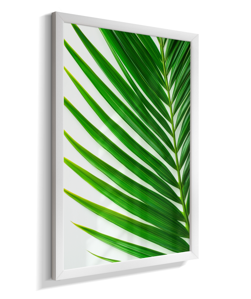 Palmeira 4