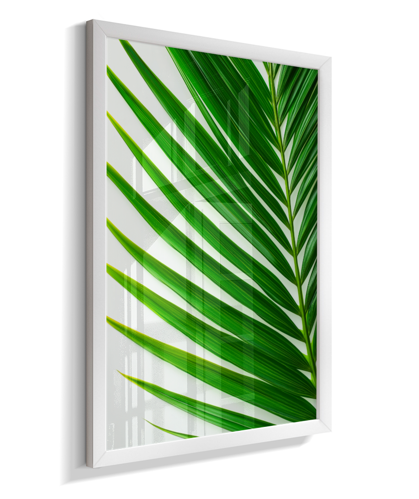 Palmeira 4