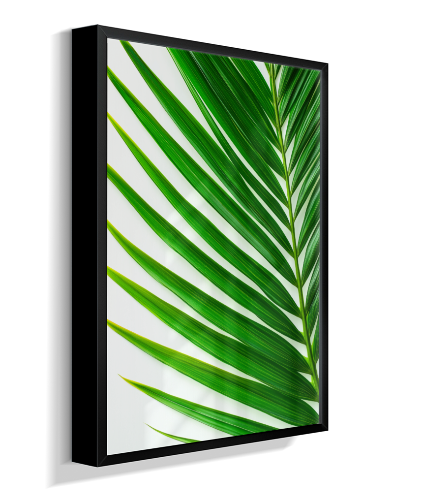 Palmeira 4