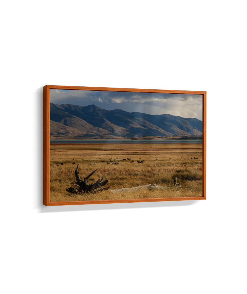 Silêncio Dourado – Patagônia