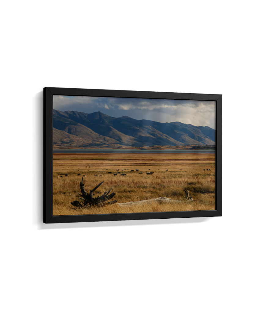 Silêncio Dourado – Patagônia