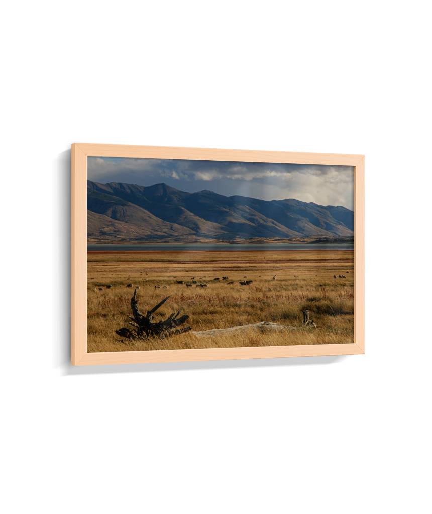 Silêncio Dourado – Patagônia