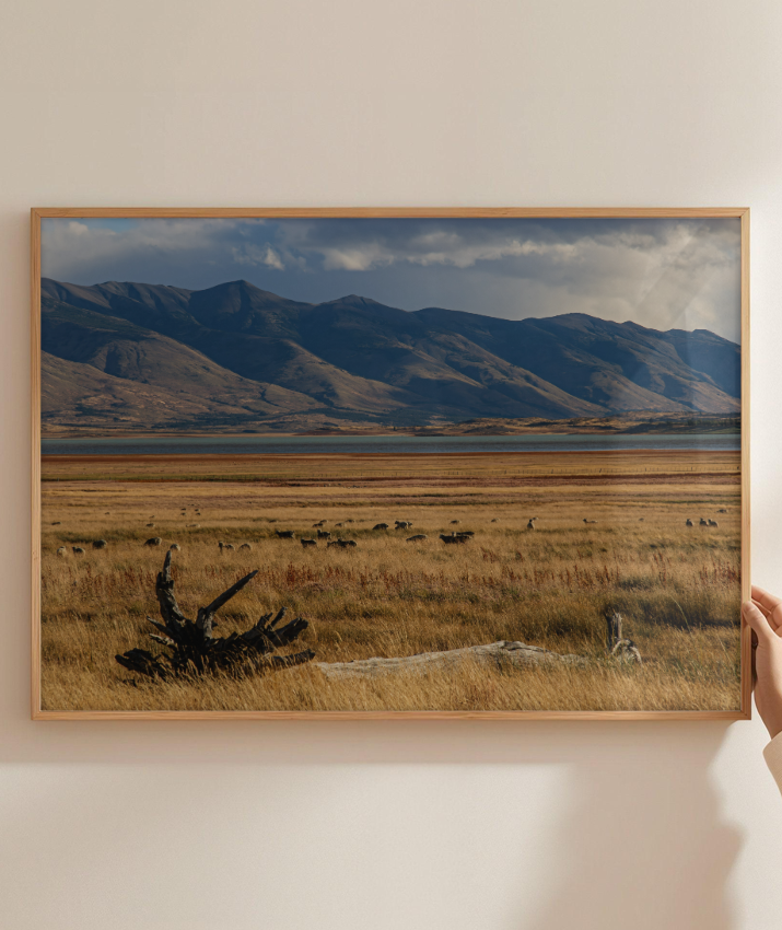 Silêncio Dourado – Patagônia