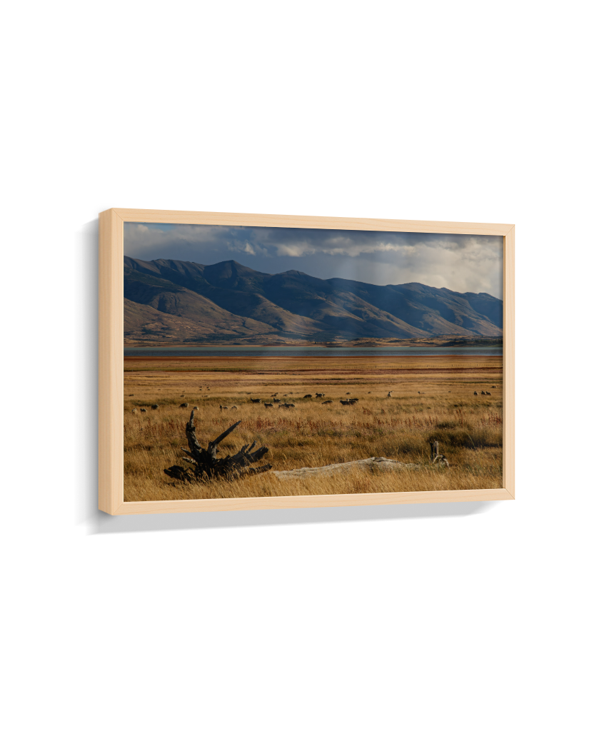 Silêncio Dourado – Patagônia