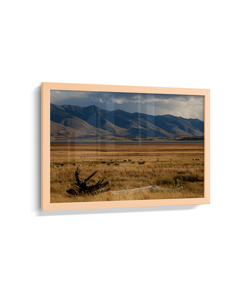 Silêncio Dourado – Patagônia