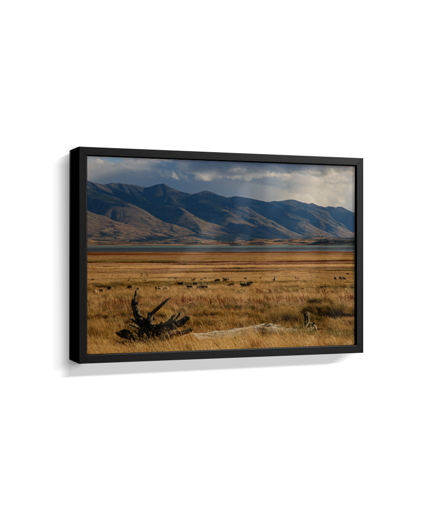 Silêncio Dourado – Patagônia