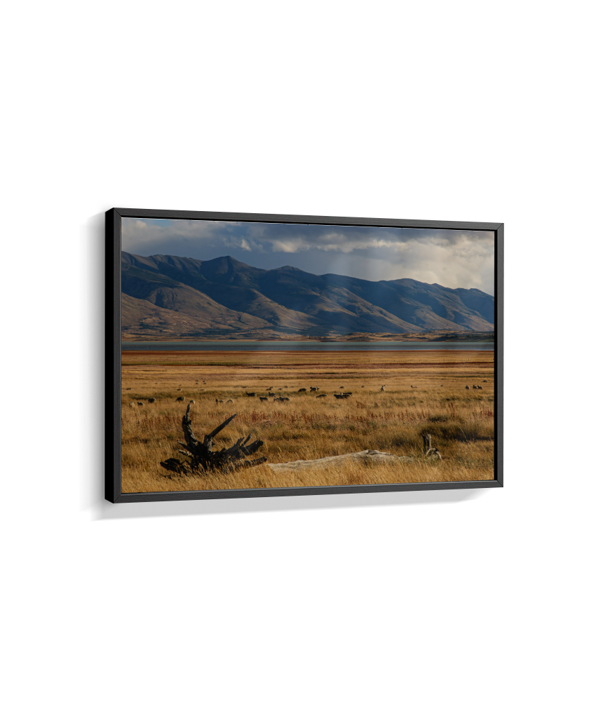 Silêncio Dourado – Patagônia