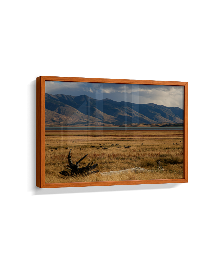 Silêncio Dourado – Patagônia