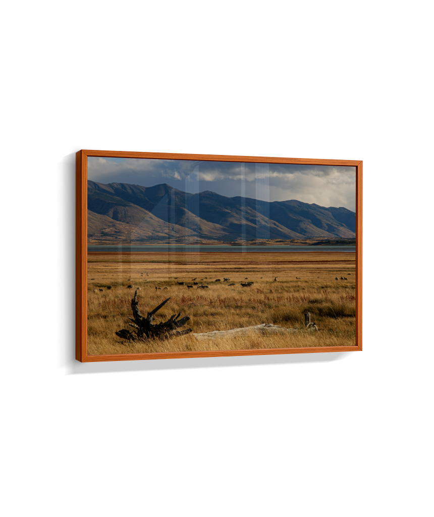 Silêncio Dourado – Patagônia