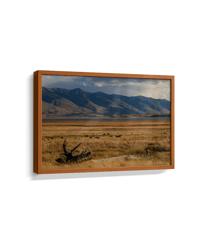 Silêncio Dourado – Patagônia