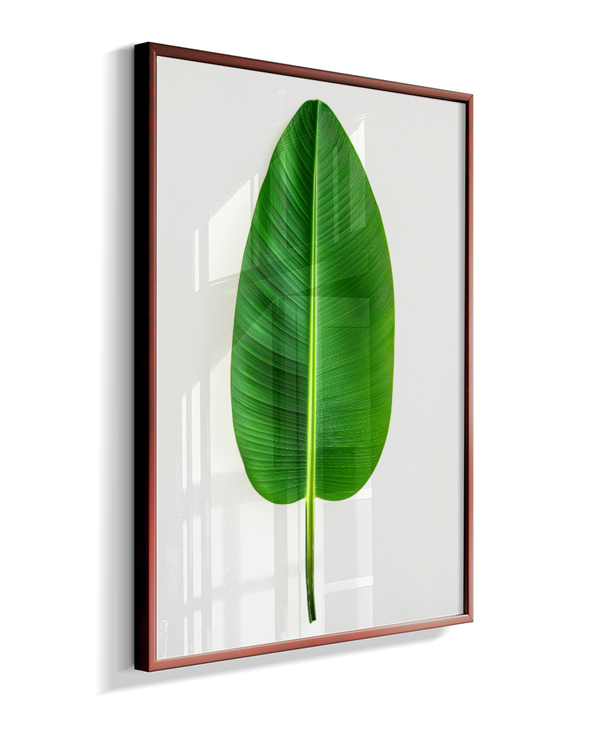Bananeira 1