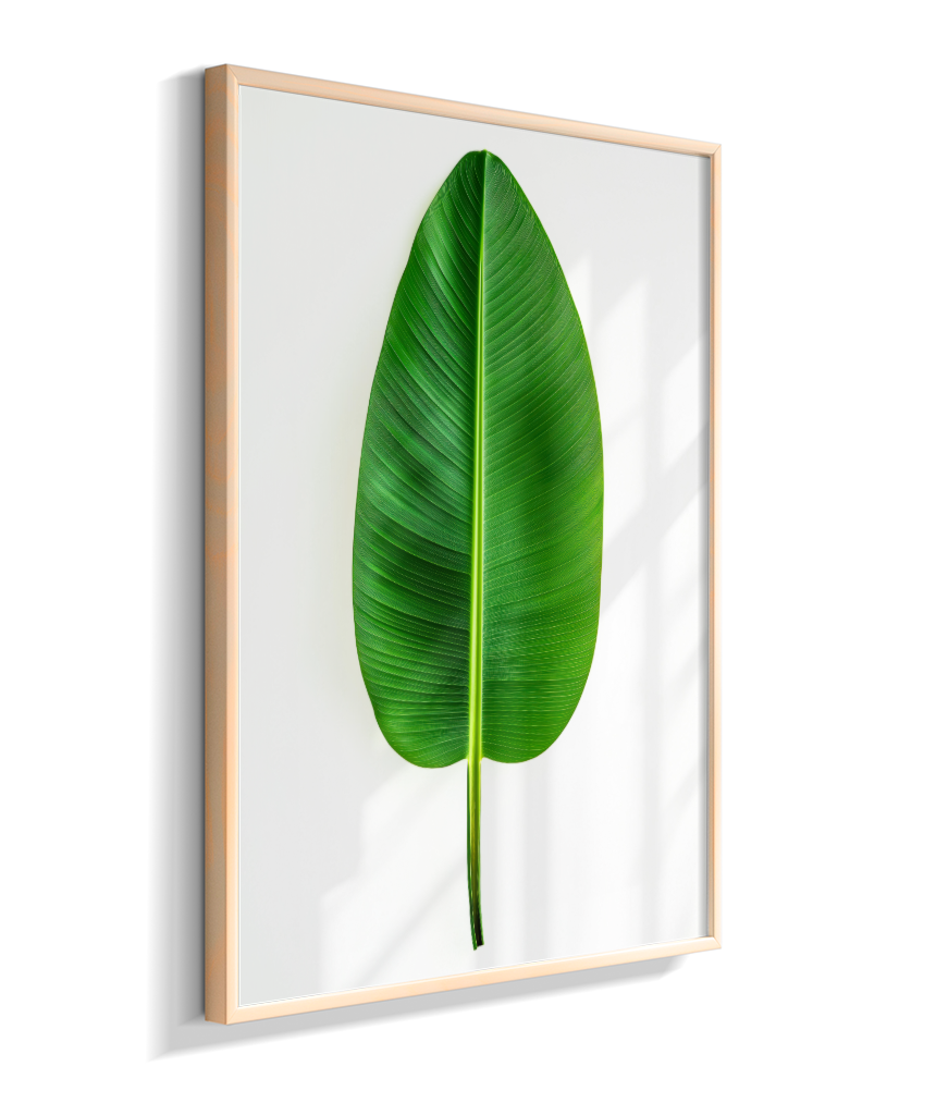 Bananeira 1