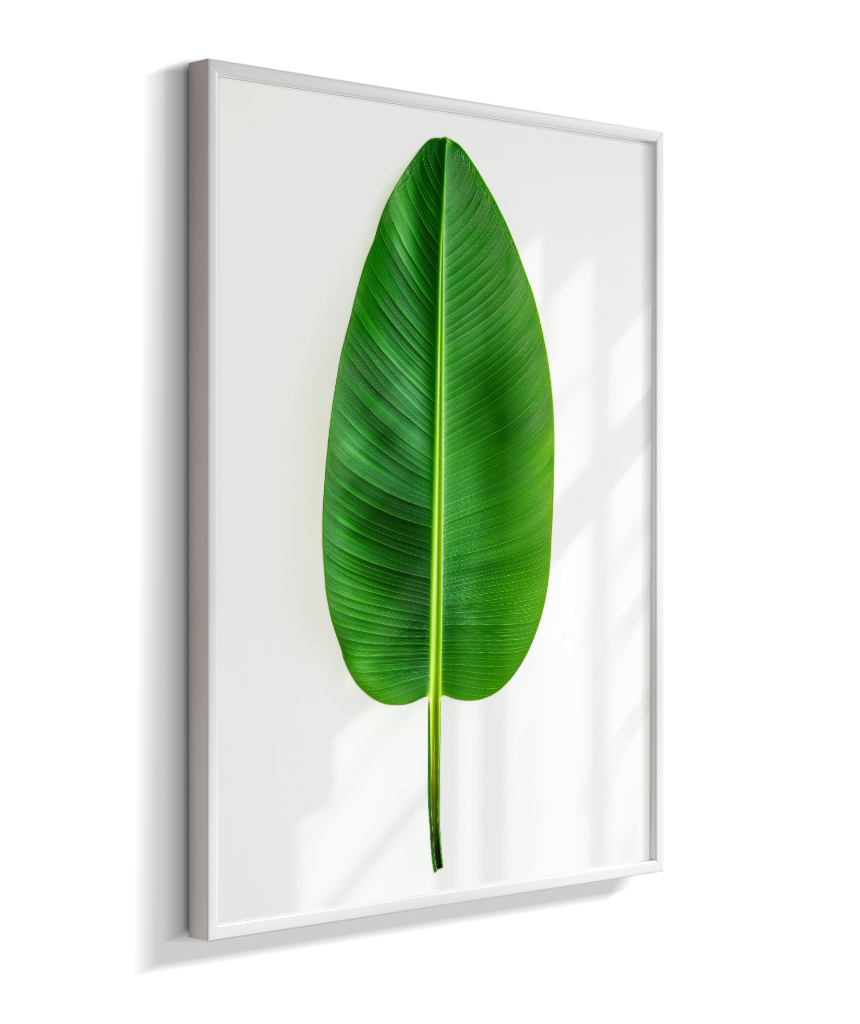 Bananeira 1