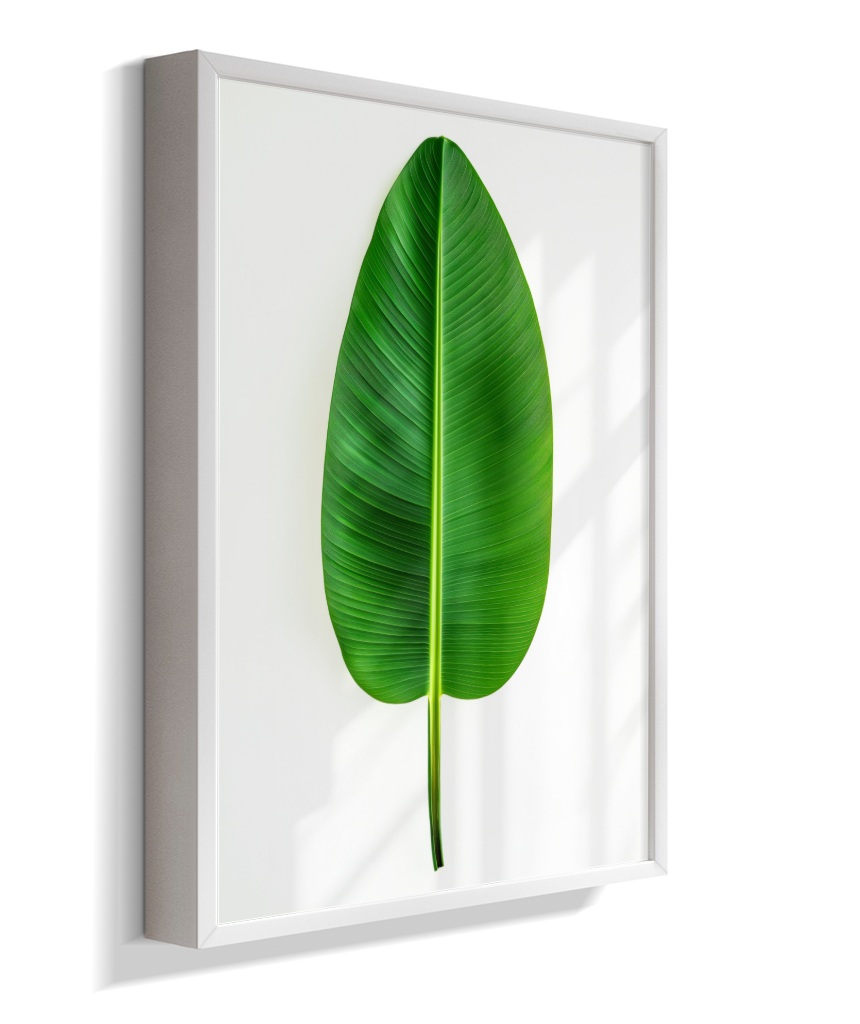 Bananeira 1
