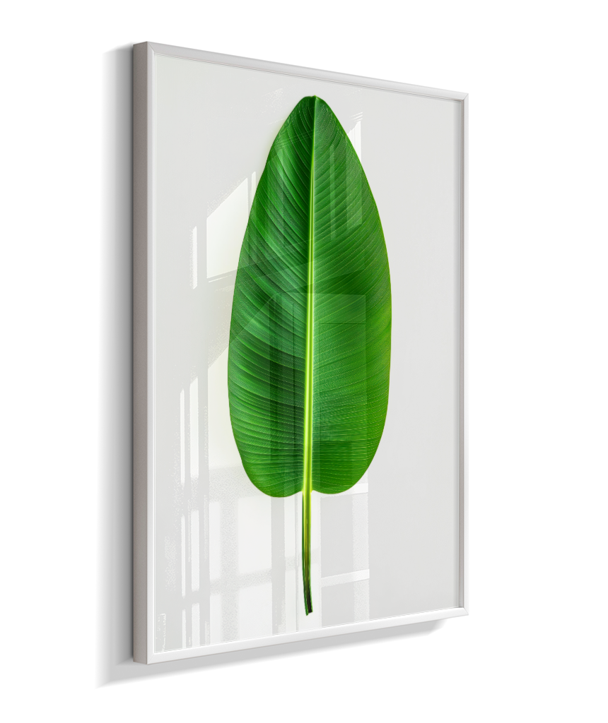 Bananeira 1