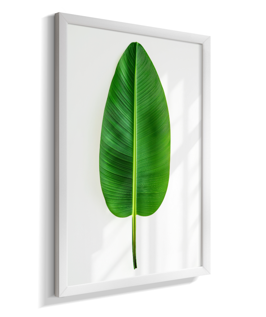 Bananeira 1