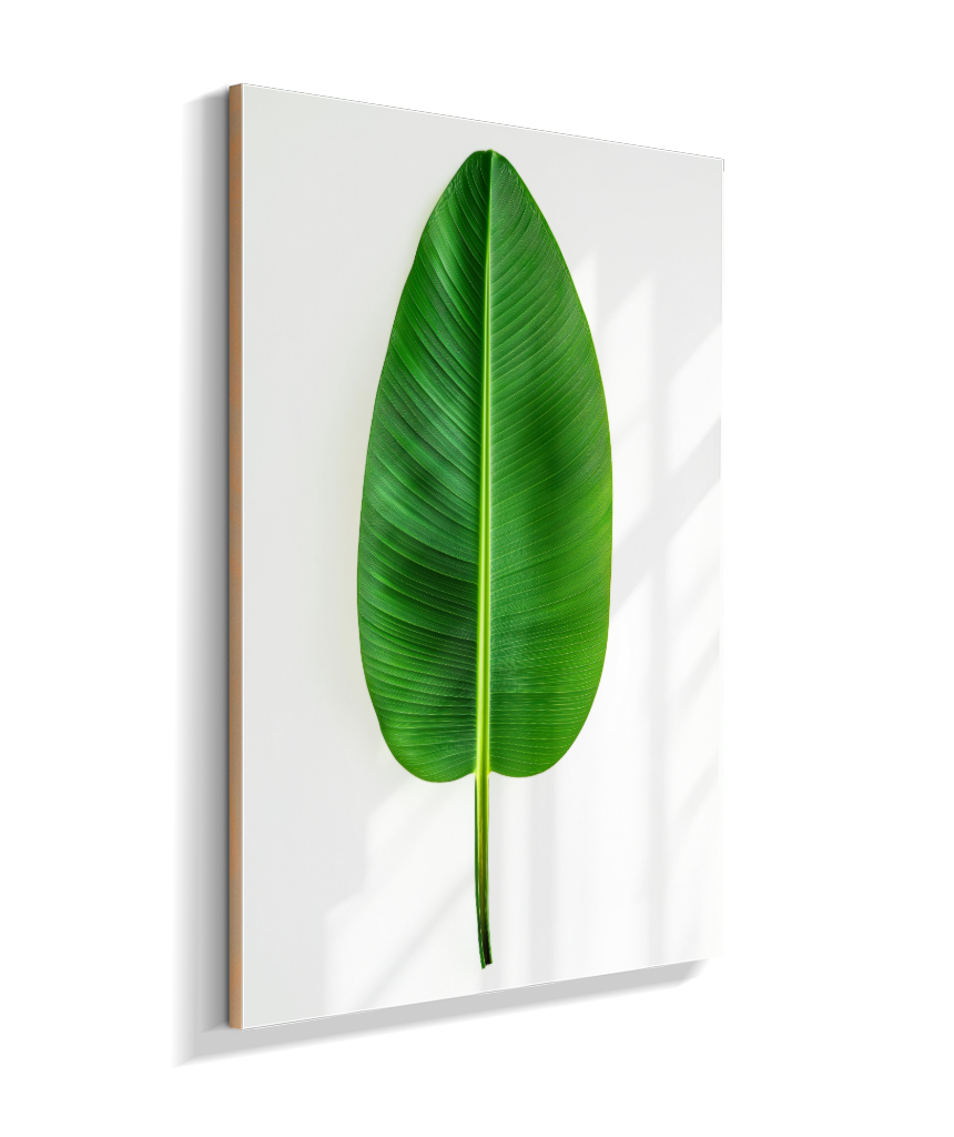 Bananeira 1
