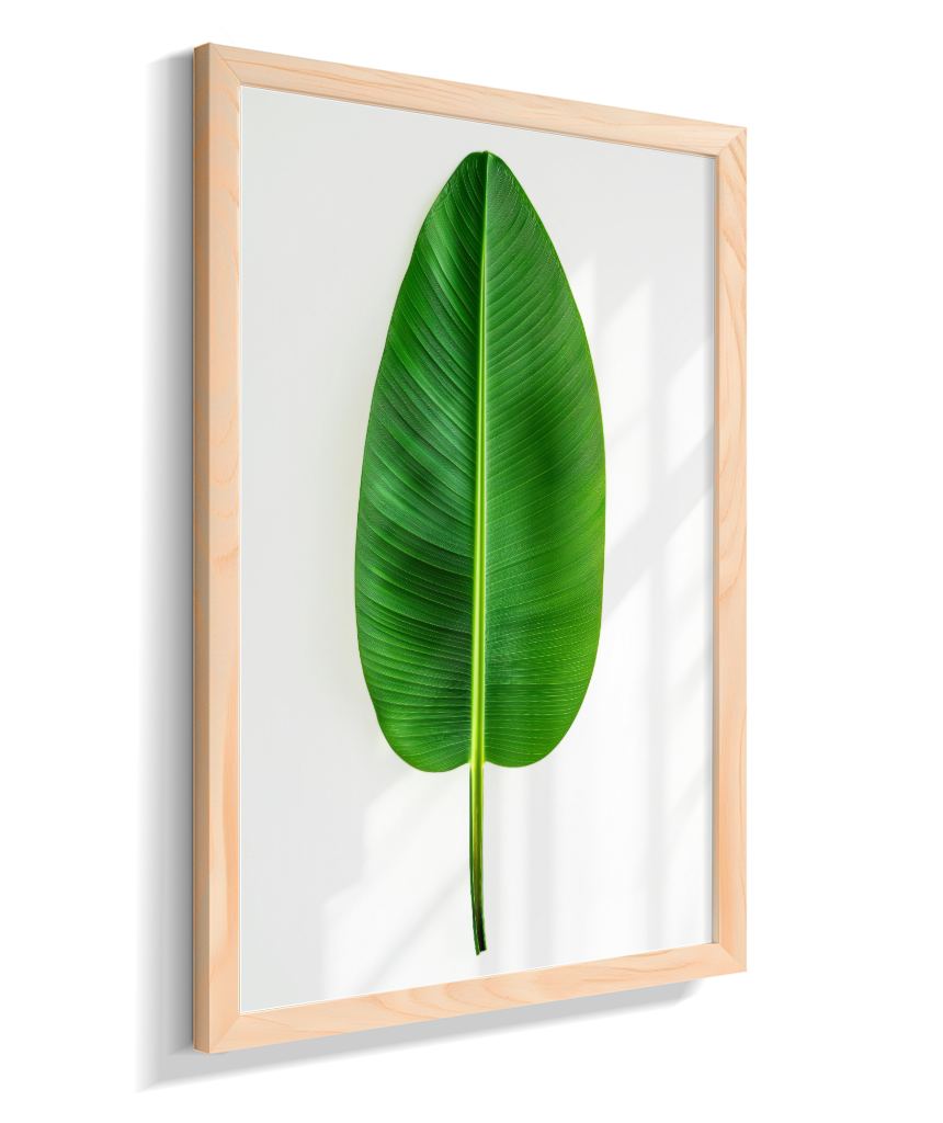 Bananeira 1