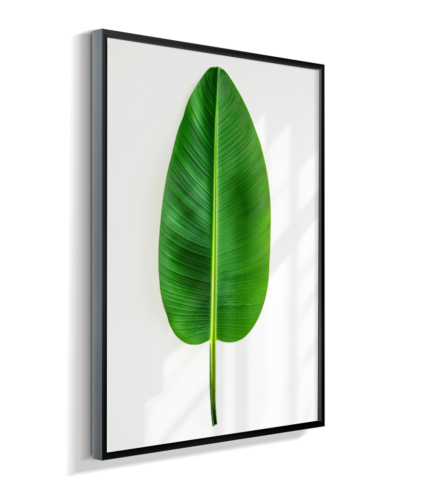 Bananeira 1