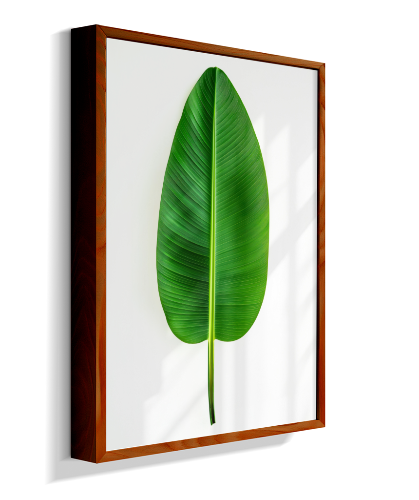 Bananeira 1