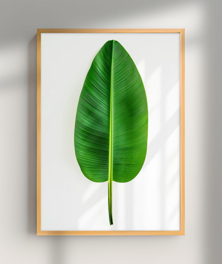 Bananeira 1